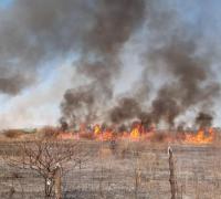 Queimadas e irregularidade nas chuvas ameaçam a Caatinga