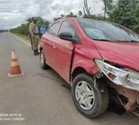 Carro colide com animal na BA-160, entre Xique-Xique e Barra