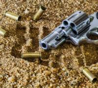 EUA: três em cada dez americanos têm armas e 72% já fizeram disparos