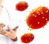 Confirmados primeiros casos de varíola do macaco no interior baiano