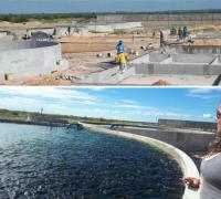 Xique-Xique: Piscicultura Macedo vai produzir 300 toneladas de peixes por ano