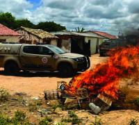 Operação Carnaval resgata aves e reforça compromisso ambiental na Bahia