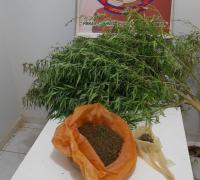 Polícia apreende droga em Itaguaçu da Bahia