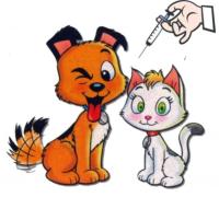 Vacinação do meu pet: Por que é tão importante?