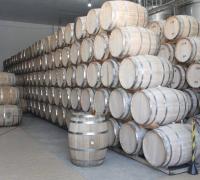 Barra: Médio São Francisco baiano deve ganhar vinícolas catarinenses