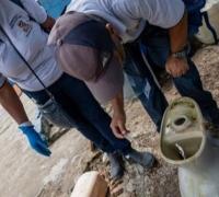 Alagoinhas: Em inspeção, MP encontra superlotação e insalubridade em casas de acolhimento de idosos