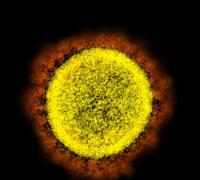 Sobe para 74 o número de casos da variante Ômicron no Brasil