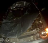 Animais na pista causam acidente entre Ibipeba e Ibititá, na região de Irecê