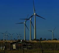 Eólicas assumem controle de terras com contratos longos e sem garantia aos agricultores