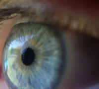 Pesquisadores criam novo meio de regenerar retina através de células-tronco
