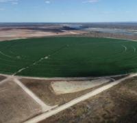 Governo baiano e Univasf firmam parceria para projetos agroindustriais em Barra, Xique-Xique e Muquém de São Francisco