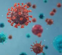 Fábrica de móveis estabelece férias coletiva por Covid-19 em Irecê