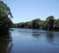 “Rios do Oeste da Bahia contribuem com 26% do volume total da vazão do São Francisco”, aponta estudo